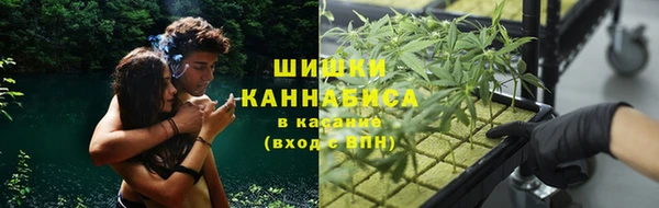 гидропоника Гусь-Хрустальный