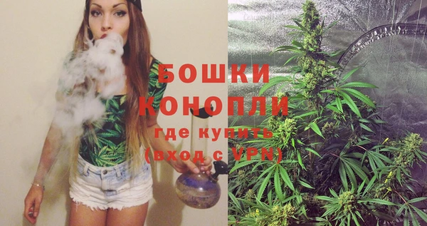 гидропоника Гусь-Хрустальный