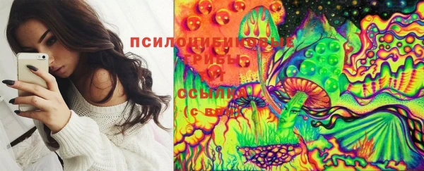 мдпв Гусиноозёрск