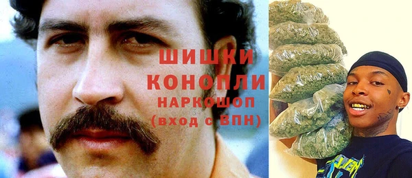 гидропоника Гусь-Хрустальный