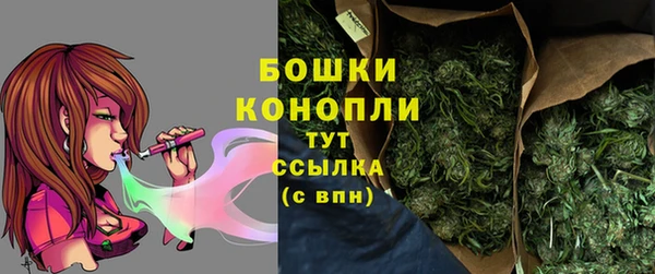 гидропоника Гусь-Хрустальный