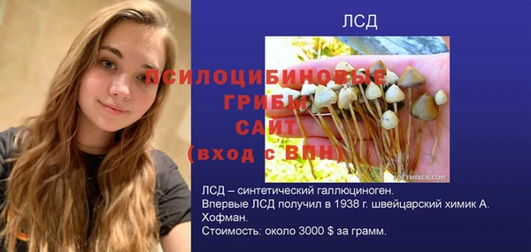 гидропоника Гусь-Хрустальный