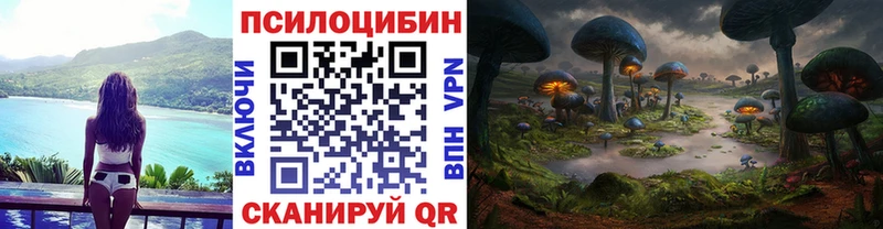 Галлюциногенные грибы Psilocybine cubensis  Купить закладки  Пучеж 